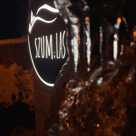 Szum I Las Szklarska Poręba Exteriör bild