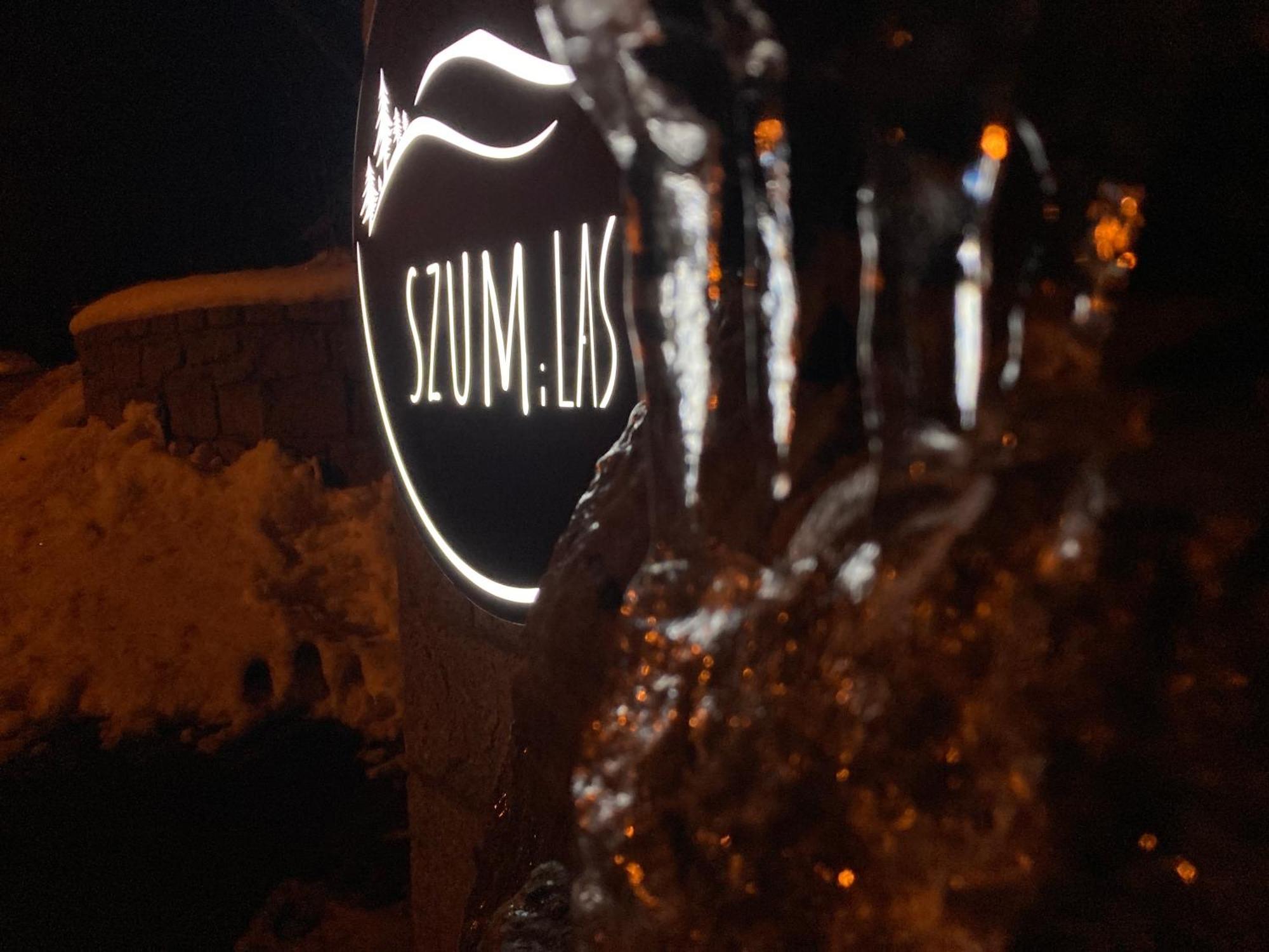 Szum I Las Szklarska Poręba Exteriör bild